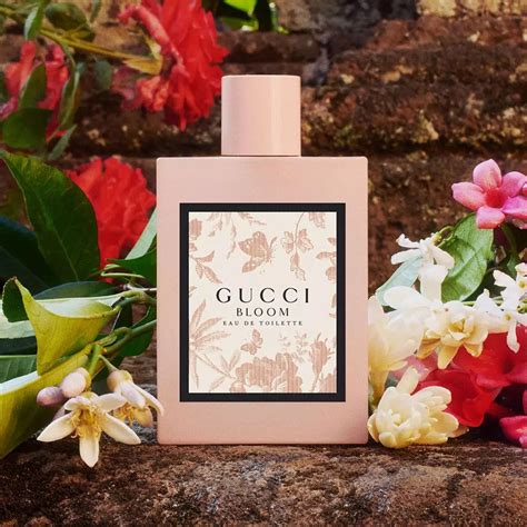 overstock gucci bloom|Gucci Bloom perfume smell.